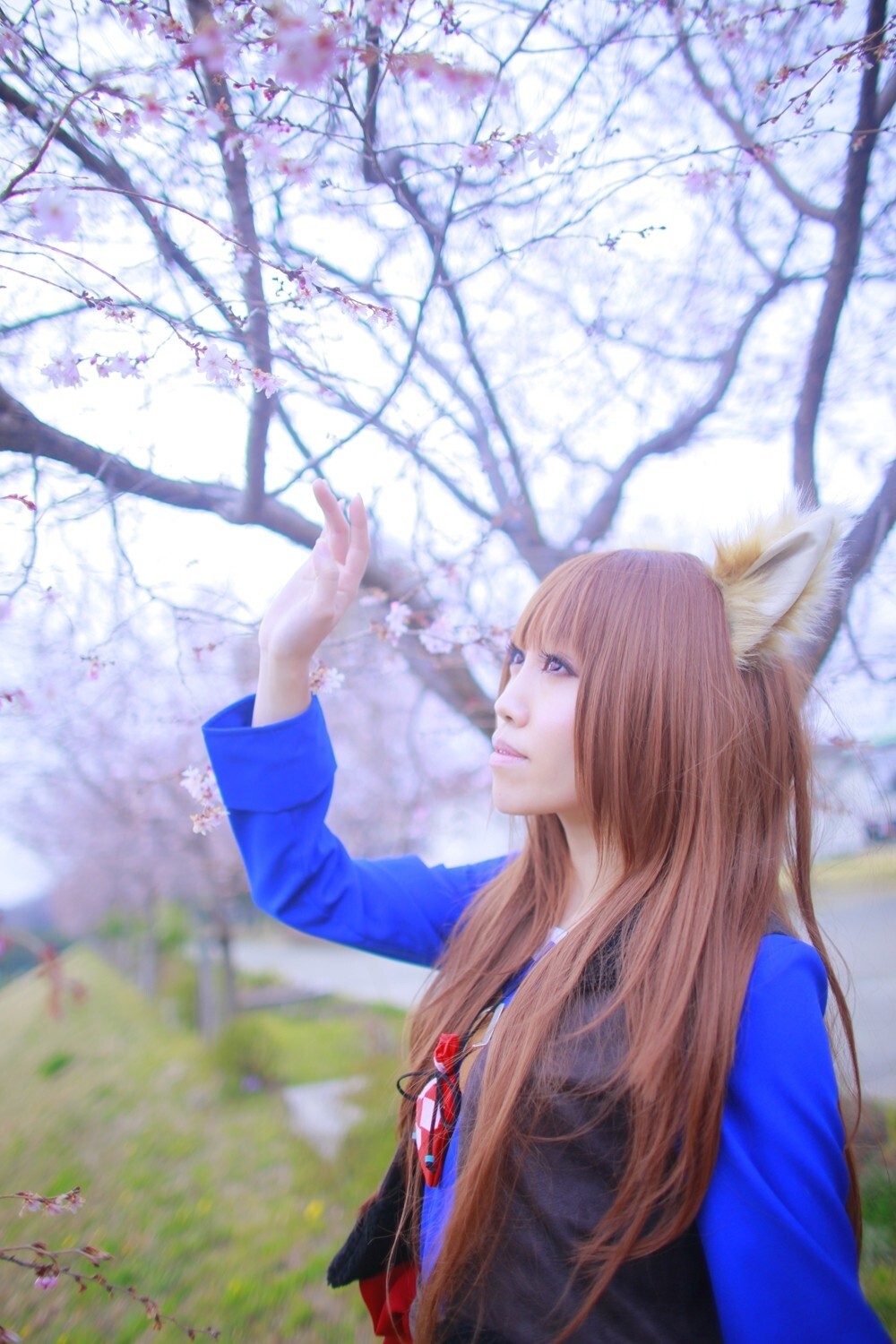 [Cosplay] 2013.04.13 Spice and Wolf Hot Cosplay